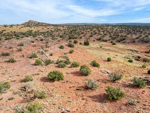 Tbd County Road N8477, Concho, AZ 85924