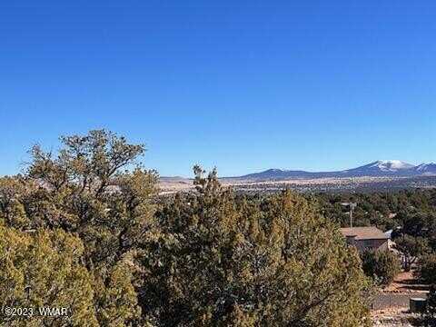 Lot 1c ACR N8689, Concho, AZ 85924