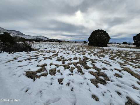 Lot 96 County Road 2003, Nutrioso, AZ 85932