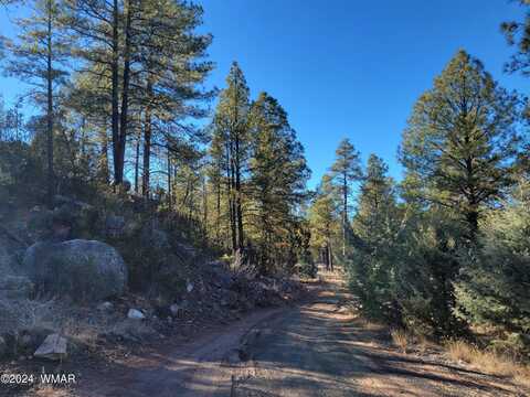 1748 Memorial Park Road, Heber, AZ 85928