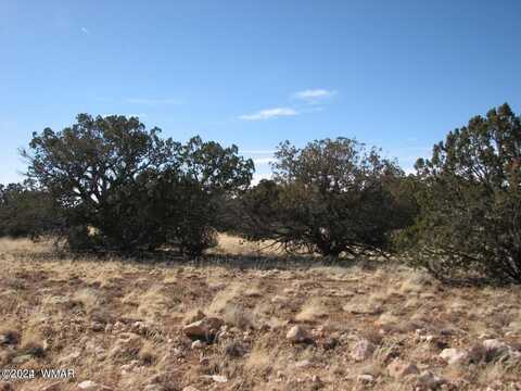 Lot 338 Chevelon Canyon Ranch, Heber, AZ 85928