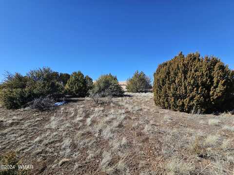 8451 W Yucca Place, Show Low, AZ 85901