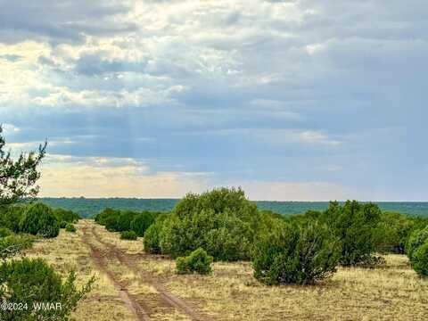 Lot C-5 Silver Lake 8.16 Acres, Show Low, AZ 85901