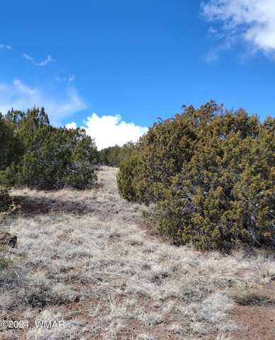 3 Lots in Show Low Pines, Vernon, AZ 85940