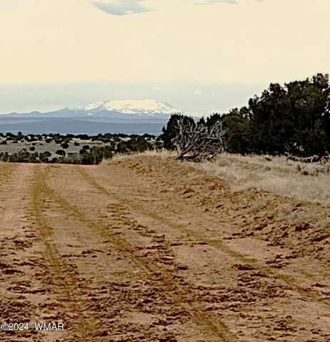 Lot 221 Woodland Valley Ranch, Saint Johns, AZ 85936