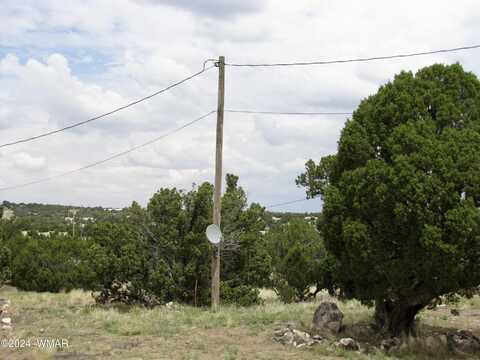 41 County Rd 8005 Road, Concho, AZ 85924