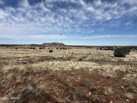 316 County Road N9211, Concho, AZ 85924