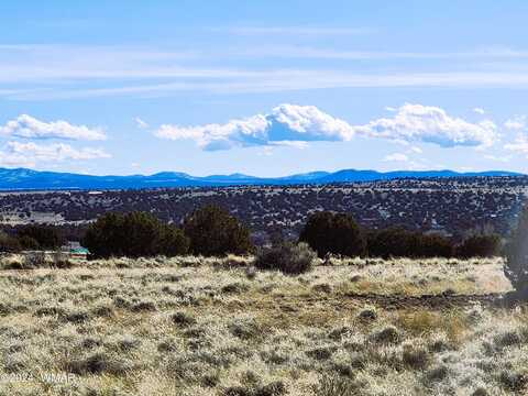 31 County Road 5079, Concho, AZ 85924