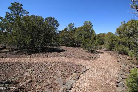 60 County Road #8140 Road, Concho, AZ 85924