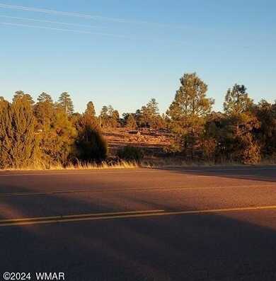 2911 Highway 260, Overgaard, AZ 85933