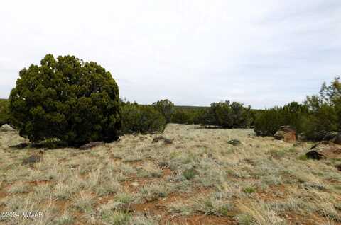 145 8060, Concho, AZ 85924