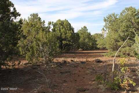 Tbd Vernon-McNary Rd, Vernon, AZ 85940