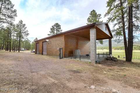 3 COUNTY ROAD N2261, Alpine, AZ 85920