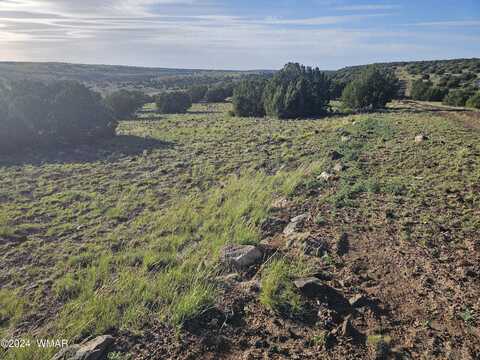 Tbd 1 Cree ln, Concho, AZ 85924