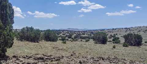 Lot 6a Big Six Ranches, Concho, AZ 85924