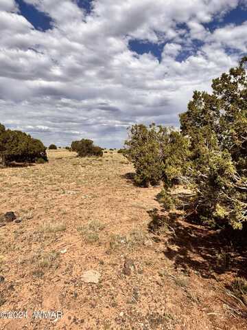 058a Thorn Lane, Concho, AZ 85924