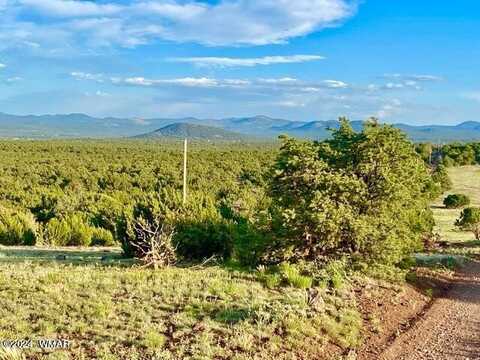 0 N3208 Lot C 9.81 Acres, Vernon, AZ 85940