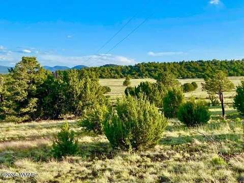 0 N3208 Lot D 9.81 Acres, Vernon, AZ 85940