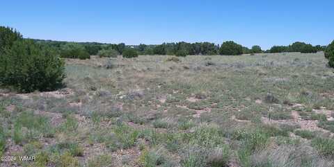 13 County Rd 5084, Concho, AZ 85924