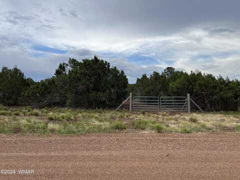 185 Co Rd 3158, Vernon, AZ 85940