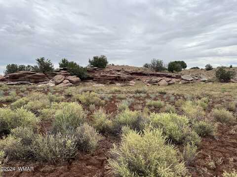 5227 North, Concho, AZ 85924