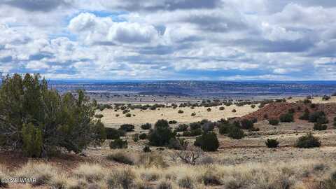 0 Petrified Forest Rd, Petrified Forest Nat'l Park, AZ 86028