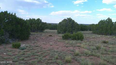 1 TBD Concho, Concho, AZ 85924