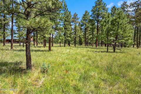 373 AZ-373, Greer, AZ 85927