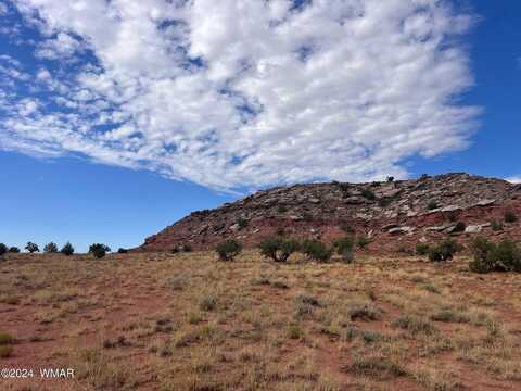 2345 W Ridgeview Ranch Drive, Snowflake, AZ 85937