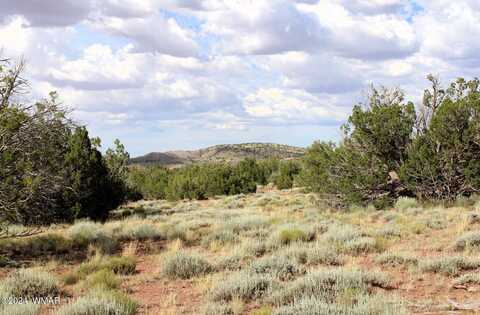 45 N8488, Concho, AZ 85924