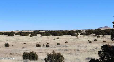 13 CR 8006, Concho, AZ 85924