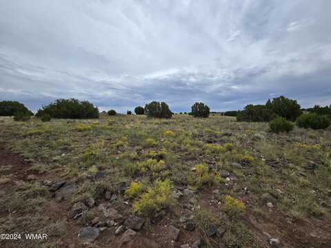 Tbd CR 5151, Concho, AZ 85924