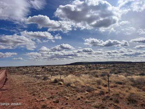 8820 E Concho Highway, Snowflake, AZ 85937