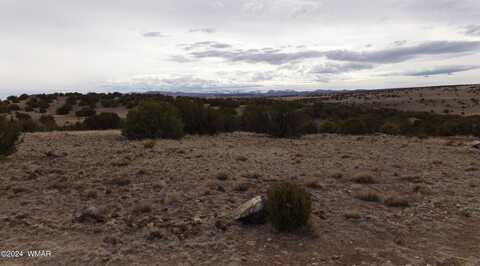 0 Concho Valley, Concho, AZ 85924