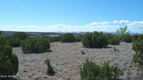 1 Concho Valley, Concho, AZ 85924