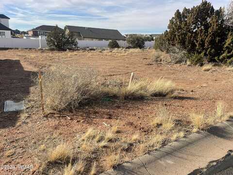 164 S Pioneer Trail, Snowflake, AZ 85937