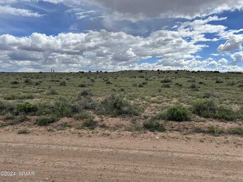 Tbd 40.5 Acres at Carrizo Ranches, Saint Johns, AZ 85936