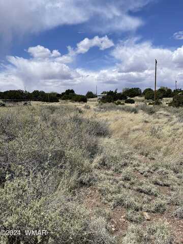 27 Short Lane, Concho, AZ 85924