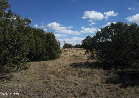 82 County Road, Concho, AZ 85924