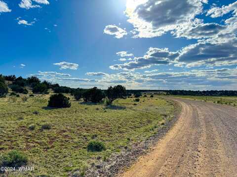 Tbd 8643 12 Acres, Concho, AZ 85924