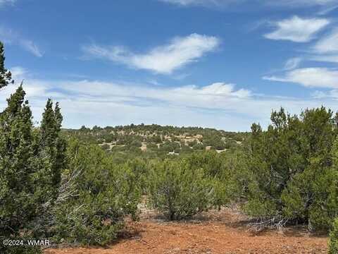 46 Co Road, Concho, AZ 85924