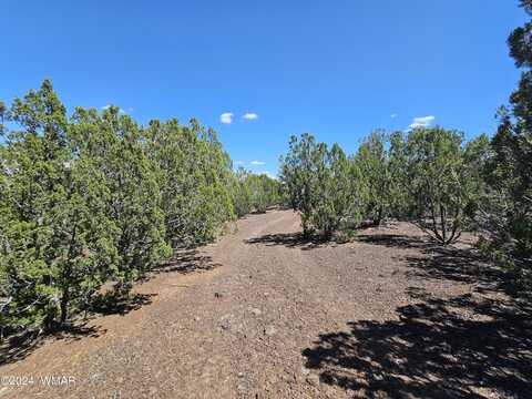 1259 Kb Ranch Road, Show Low, AZ 85901