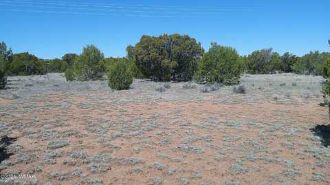 Tbd Concho Valley, Concho, AZ 85924