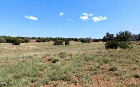 Tbd County Road 8439, Concho, AZ 85924