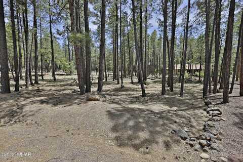 2682 Brahma Circle, Pinetop, AZ 85935