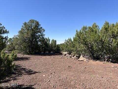 000000 County Road, Concho, AZ 85924