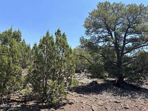 Lot 75 N Dolly (8141) Drive, Vernon, AZ 85940