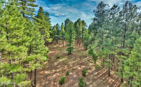 2621 Snowberry Loop, Show Low, AZ 85901