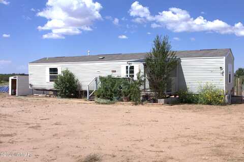 49 N CR 7341, Saint Johns, AZ 85936