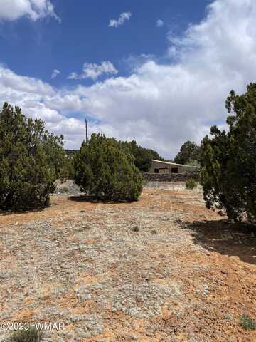 34 Meadow Lane, Concho, AZ 85924